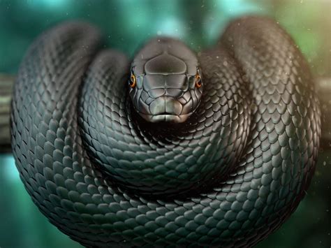 Black Mamba Wallpapers - Top Free Black Mamba Backgrounds - WallpaperAccess