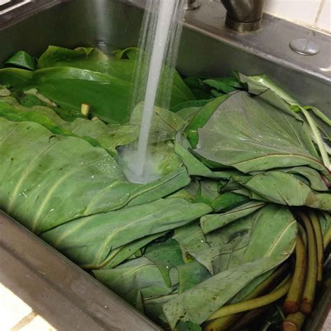 Hawaiian lau lau pork – Artofit