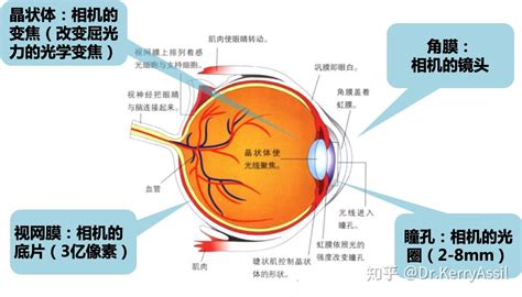 脚背不同位置的痣图解相关阅读_脚背不同位置的痣图解在线阅读--周易算命网