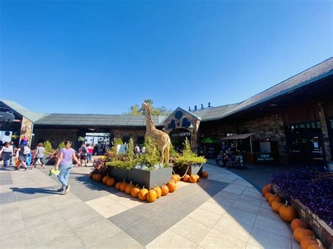Oklahoma City Zoo: Information, Tickets and Reviews