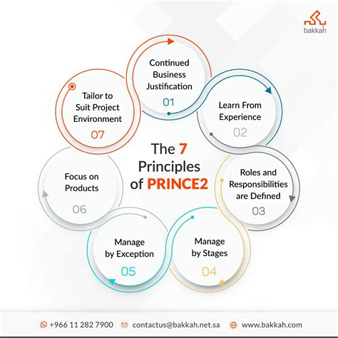 PRINCE2 Explained 的图像结果