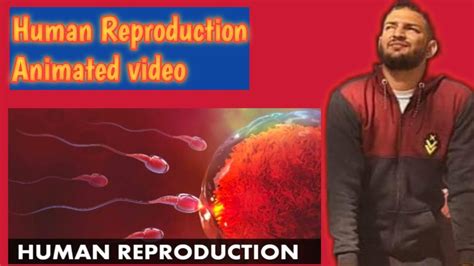 Image result for Two Humans Reproducing Vid