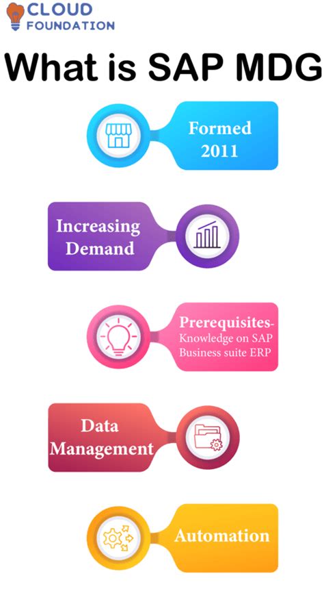 SAP MDG Tutorial 的图像结果