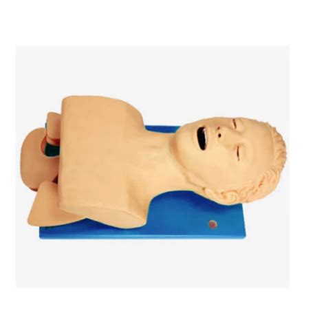 Electronic Trachea Intubation Model – MeddeyGo.com