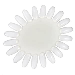 Frcolor 1pcs Portable Sunflower Shaped Nail Art Display Practice Wheel ...