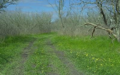 RELLIS-3D: RGB - Dataset Ninja