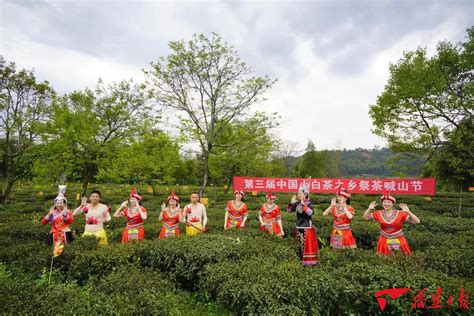 四川达州大竹县举办首届喊山开茶文化节-茶博会