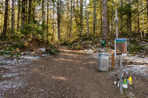 Exploring the New Gnome Trail in Maple Valley - Travelffeine