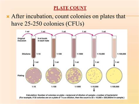 Image result for How to Do Microbial Growth Curves Using Spectrophotometer