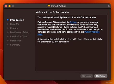 Python 3.9 Install Pip 的图像结果