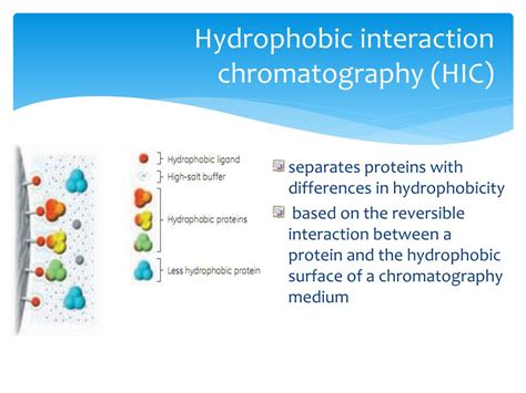 Image result for Basic Principles of Protein Purification
