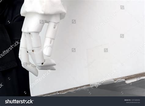 Box Robot Short Limbs 的图像结果