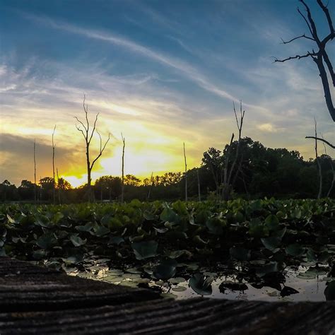 Beaver Marsh (Peninsula) - 2022 What to Know Before You Go (with Photos ...