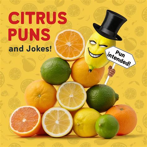 150+ Funny Citrus Puns And Jokes: Peel the Laughter
