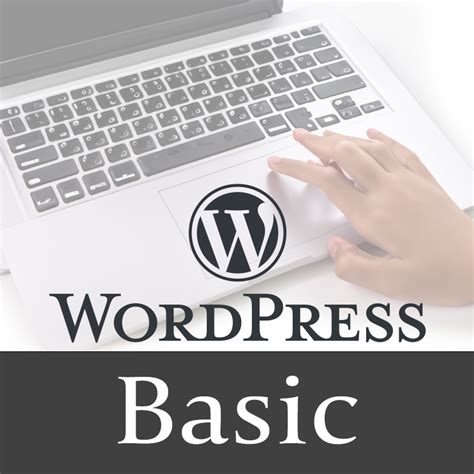 WordPress Basic Plan 的图像结果