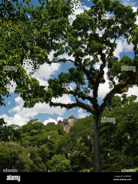 The stepped pyramid at Tonina rises from the surrounding rainforest ...