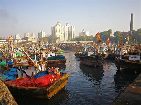 Sassoon Dock (Mumbai) - 2020 What to Know Before You Go (with Photos ...