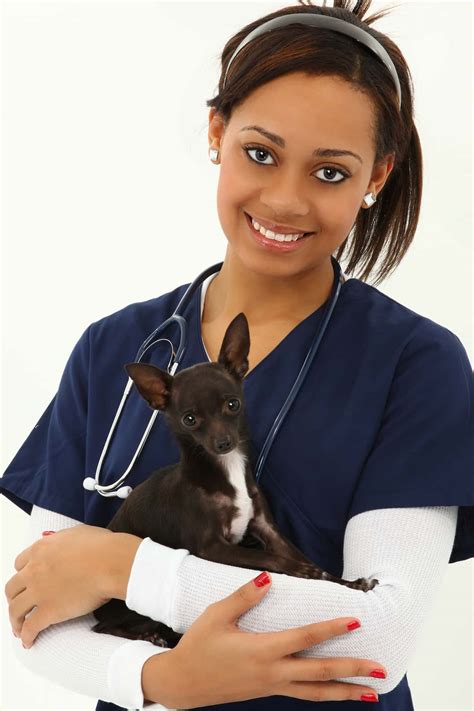 Veterinary Assistant CTE Program Certification | Kaduceus