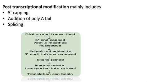 Post transcriptional modification | PPTX