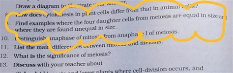 9. Find examples where the four daughter cells from meiosis are equal ...