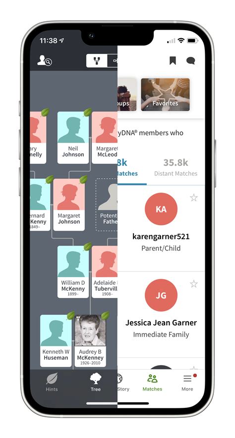 Image result for Ancestry App Tutorial