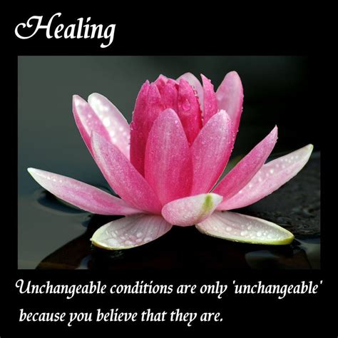 neta care holistic health services
