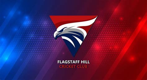 Senior Training, Flagstaff Hill Cricket Club, Mount Barker Summit, 5 ...