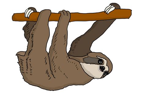 Image result for Sloth Guide Vesteria