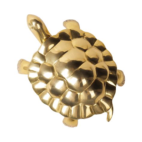 Mahavastu Remedies | Tortoise - Unstoppable Victory through Patience ...