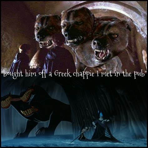 What Is Fluffy In Harry Potter at Annie Burress blog