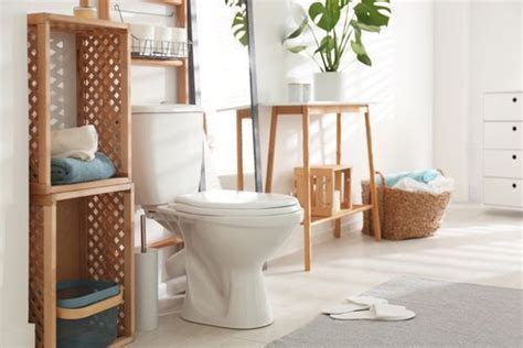 Adjust Your Toilet Seat Direction as per Vastu to Welcome Positive ...