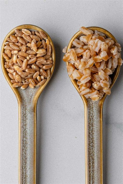 How to Cook Farro (Perfect Everytime!) - Cooking With Ayeh