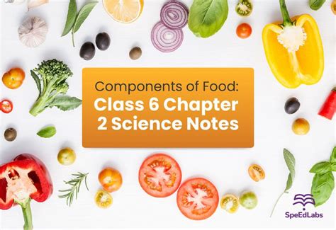 Image result for Components of Food Class 6 Textbook PDF