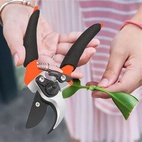 Garden Shears Sharp Cutter Pruners Scissor, Pruner — DeoDap