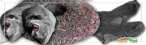 Почему Пуэр пахнет рыбой, носками или землей?