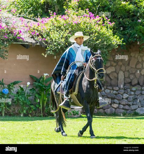 Sacred Valley, Peru - 05/21/2019: Beautiful traditional Peruvian horse ...