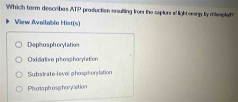 Solved: Which term describes ATP production resulting from the capture ...
