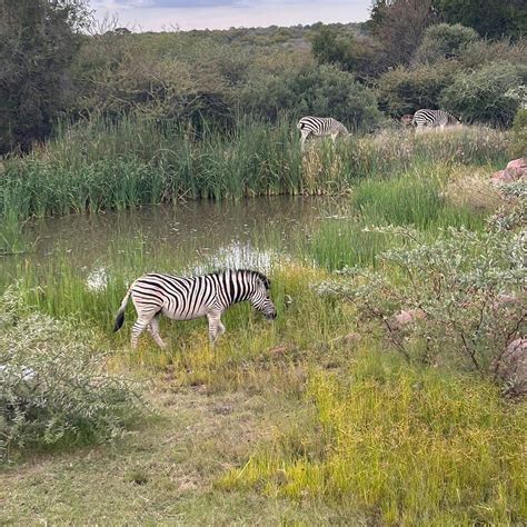 TSHIKWALO LODGE (Hammanskraal) - Campground Reviews, Photos, Rate ...