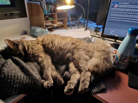 Rezultat imagine pentru Write Log Setup