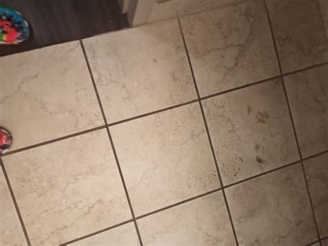 Bathrooms disgusting - Review of Holiday Inn Express & Suites Winona ...