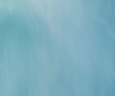 Dell OptiPlex All-in-One | Dell India