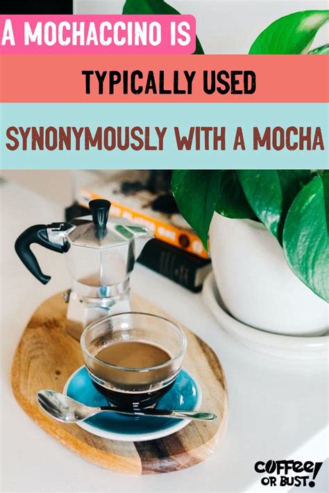 Latte vs Macchiato vs Cappuccino vs Mocha: What is the Difference ...