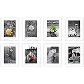Amazon Brand - Solimo Collage Set of 12 Photo Frames ( 5 X 7 Inch - 8 ...