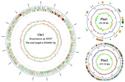 Integrative Genomics and Bioactivity-Guided Isolation of Novel ...