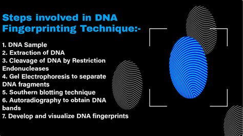 Image result for DNA Fingerprinting Graph