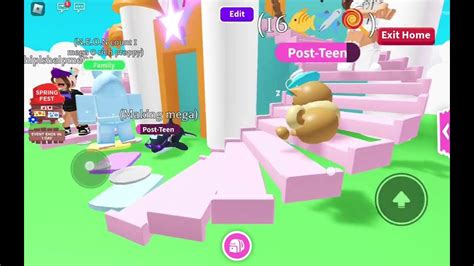 Image result for  Sky Castles for Beginner AdoptMe Tutorial