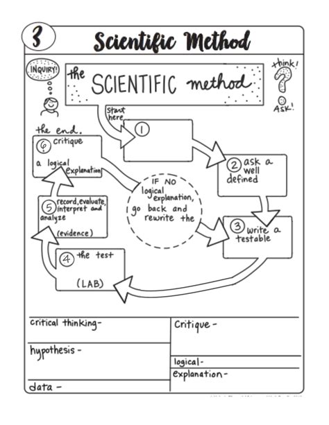 Image result for Scientific Flow Chart Example