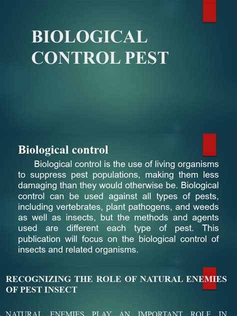 Image result for Biological Control of Insects