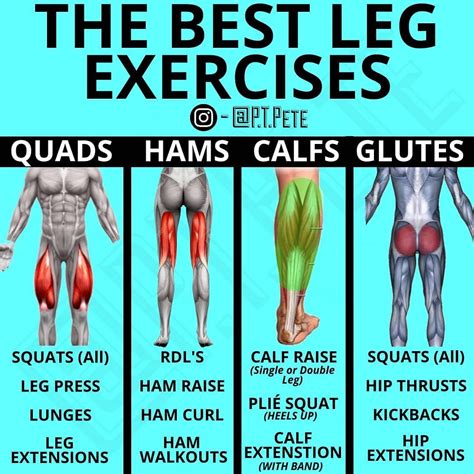 Gain Size And Strength For Muscular Legs In 4 Weeks - GymGuider.com | Best leg workout, Glutes ...