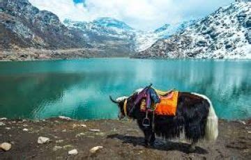 Amazing 6 Days 5 Nights Gangtok, Lachen with Lachung Holiday Package ...